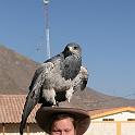 Peru 0805